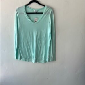 Splendid Green Fitted Blouse